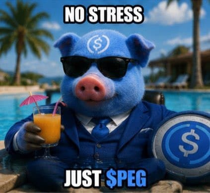 No stress just peg piglet with aviators by pool