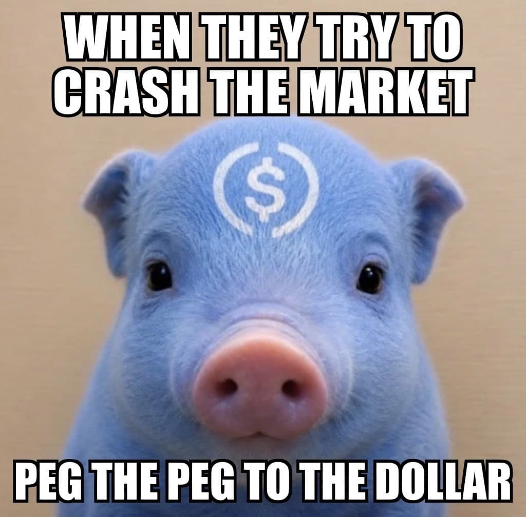 peg the peg to the dollar blue pig
